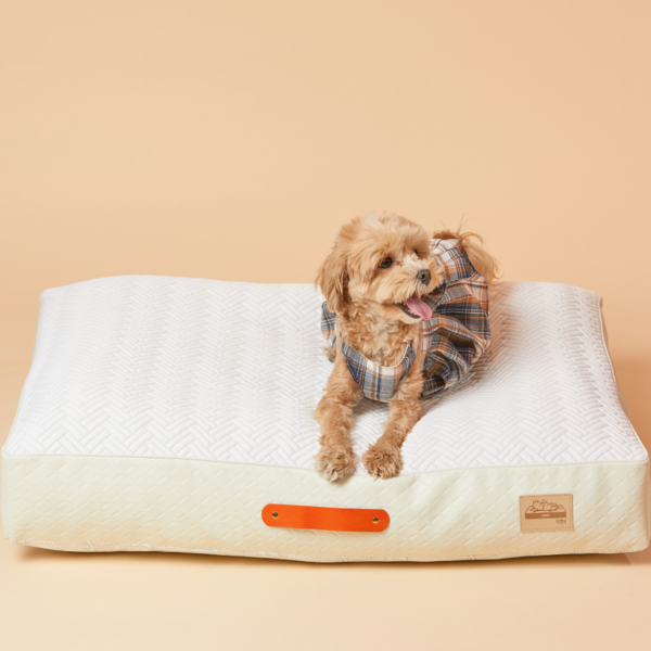 페오펫몰,[쭉 뻗는게 좋아] 견이로움 강아지 애견 쭉쭉 쿠션 방석 침대 중형 대형 특대형