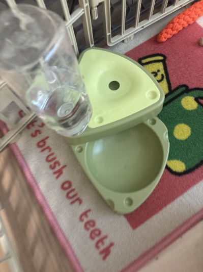 딩동펫 반려동물 치즈볼 접이식 급수식기 후기 이미지