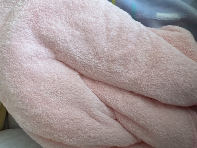 펫스츄리 반려동물 펫타올 셋트 4color 후기 이미지