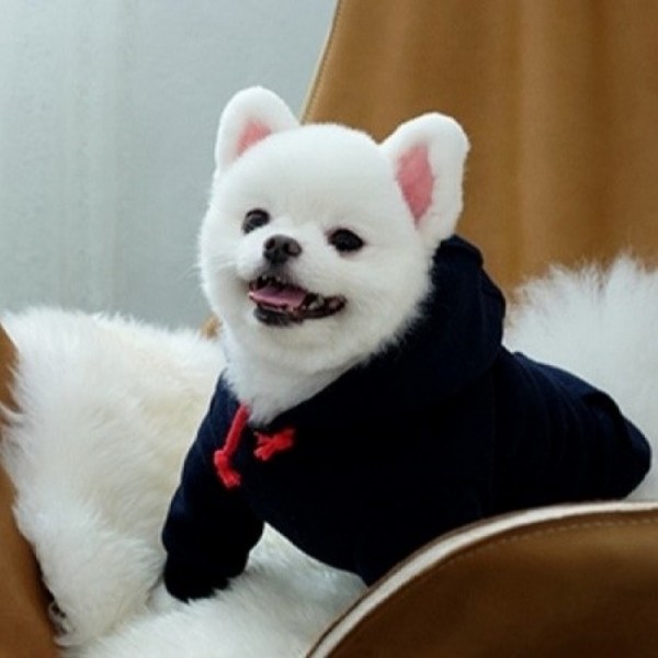 페오펫몰,[자수무료이벤트]러브핫핏  비비드스트링 기모 후드티셔츠_네이비