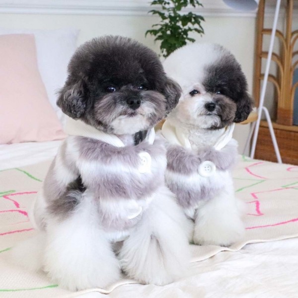 페오펫몰,에덴숑 후디 퍼 베스트(hoody fur vest) 그레이