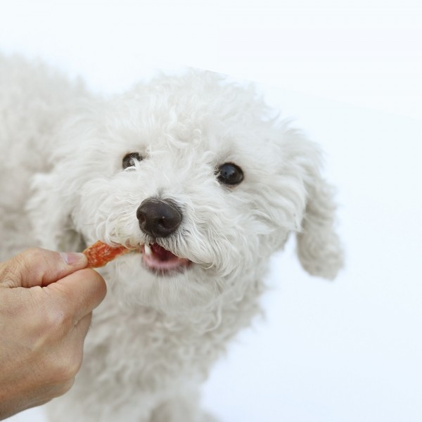페오펫몰,[오래오래프로젝트] 깨끗한육포 바삭 닭가슴살 (195g)