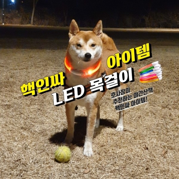 페오펫몰,강아지 LED목걸이 불빛 라이트 야간산책 소형견 중대형견