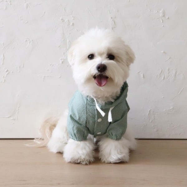 페오펫몰,쉬오트 시어서커 라이트 점퍼(그린)