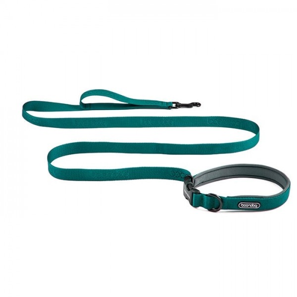 페오펫몰,[분독] 플레이 리쉬 2m 롱 리드줄 그린 [최저가]