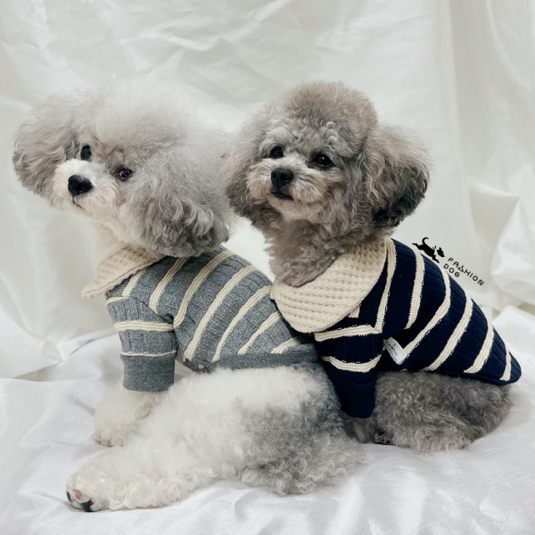 페오펫몰,[패션독]애견의류,강아지옷,강아지가을옷,강아지패션,강아지티셔츠,댄디니트티