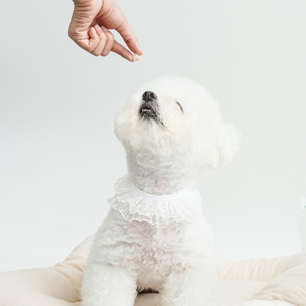 페오펫몰,[사은품]바야 저칼로리 미니 북어트릿 동결건조 강아지 고양이 칭찬간식