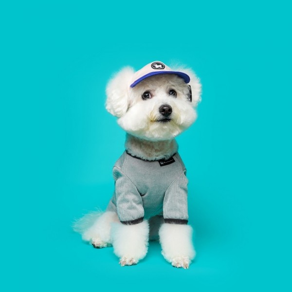 페오펫몰,BDB 스냅백 핑크라일락