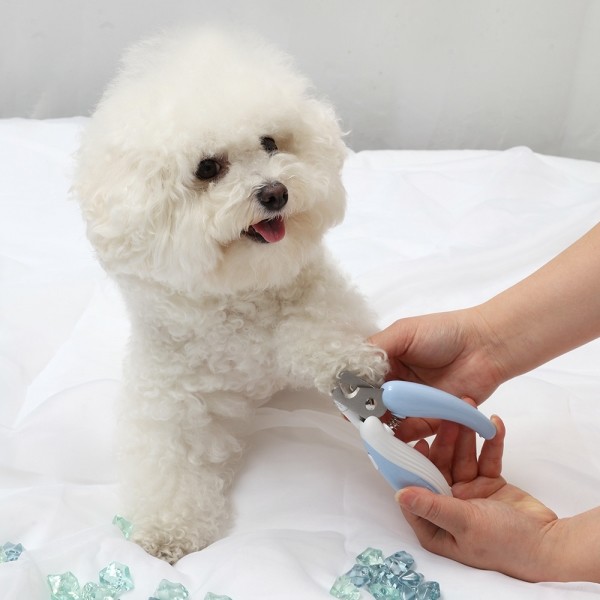 페오펫몰,펫토리아 LED 잘보여 안전 강아지 고양이 발톱깎이