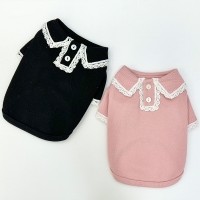뮤즈pk카라티, 강아지가을신상, 강아지티셔츠, 강아지가을옷, 강아지산책룩, 강아지카라티