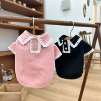 뮤즈pk카라티, 강아지가을신상, 강아지티셔츠, 강아지가을옷, 강아지산책룩, 강아지카라티