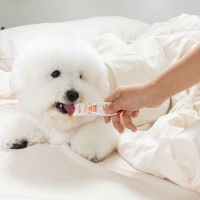 [보름달특가] [너티] 간식 하루루틴 츄르 굿모닝퓨레