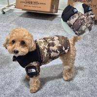 독페이스패딩점퍼, 강아지겨울, 강아지겨울패딩, 강아지베스트템, 강아지겨울패딩점퍼