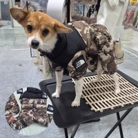 독페이스패딩바지, 강아지겨울, 강아지겨울패딩, 강아지베스트템, 강아지겨울패딩바지