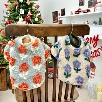 코코덤블티, 강아지겨울, 강아지겨울신상, 강아지티셔츠, 강아지산책룩