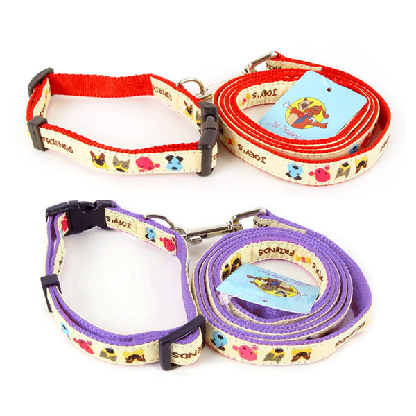 페오펫몰,[펫츠컴퍼니] 조이 목줄세트 15mm (색상랜덤) [반려동물]