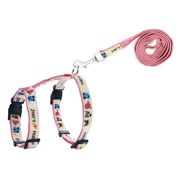 페오펫몰,[펫츠컴퍼니] 조이 캣 하네스 세트 15mm (색상랜덤) [반려동물]