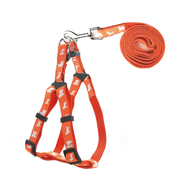 페오펫몰,[펫츠컴퍼니] 도그프린팅 하네스세트 15mm (색상랜덤) [반려동물]