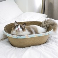 개과천선 어몽드 커비온 고양이 스크래쳐