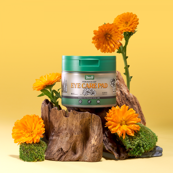 페오펫몰,[감사특가]허레이 프로 아이+이어케어 패드SET