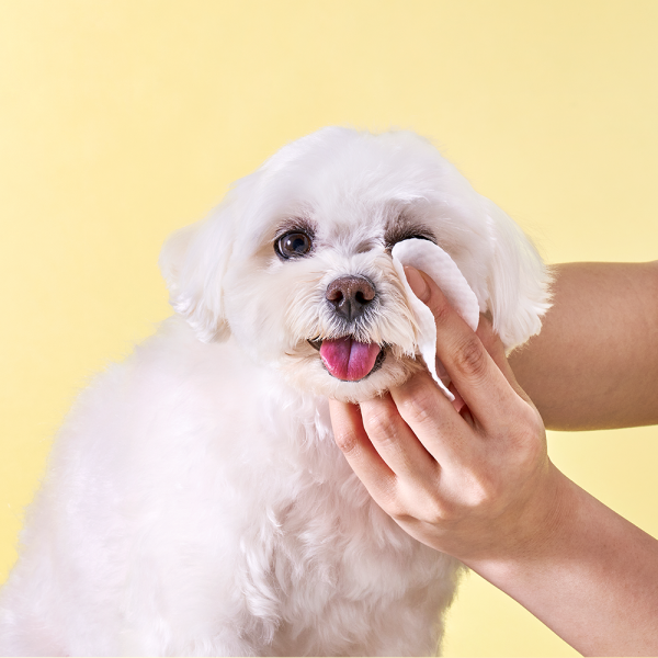 페오펫몰,[감사특가]허레이 프로 아이+이어케어 패드SET