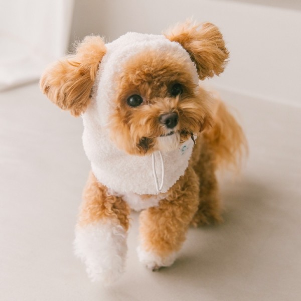 페오펫몰,스캠퍼 이지 핏 워머햇 3color