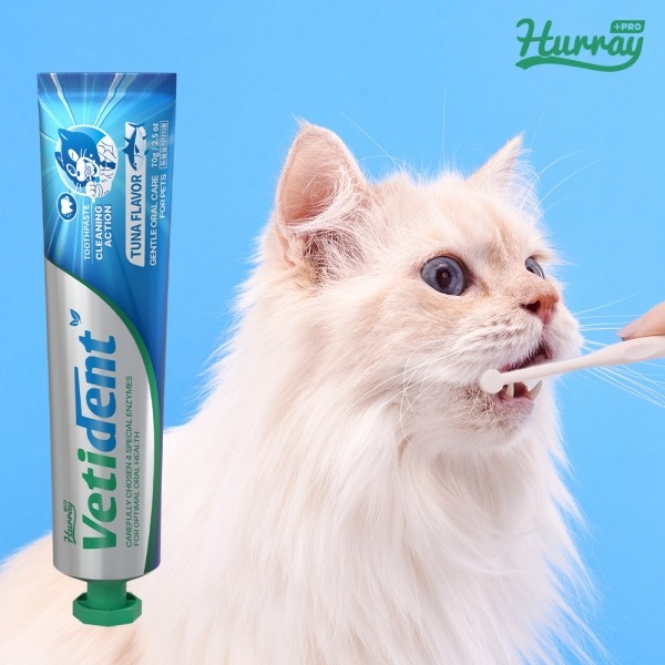 페오펫몰,[허레이][설날특가] 프로 베티덴트 치약 사과향+참치향 2개 SET 바르는 겔제형