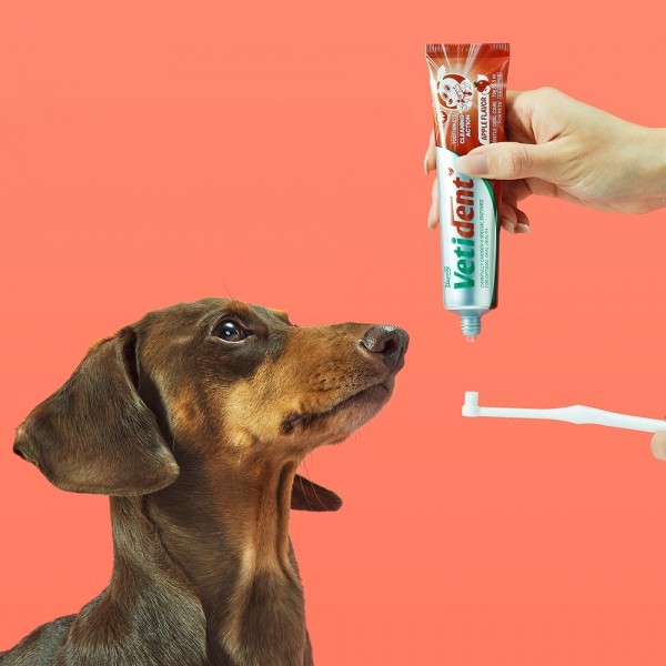 페오펫몰,[허레이][설날특가] 프로 베티덴트 치약 사과향+참치향 2개 SET 바르는 겔제형