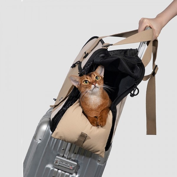 페오펫몰,레드퍼피 제이미 이동가방 애견이동가방 고양이가방 강아지가방 이동장 가방