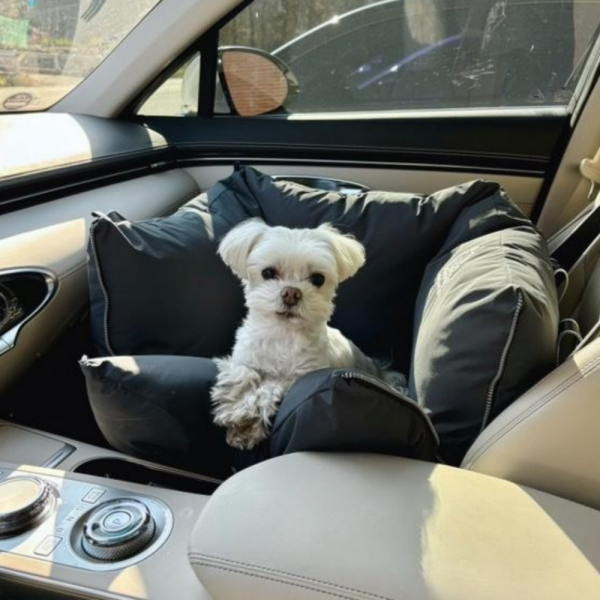 페오펫몰,[스윗테일] [꽃길특가] 핸드메이드 강아지카시트 딥그레이 [반려동물]