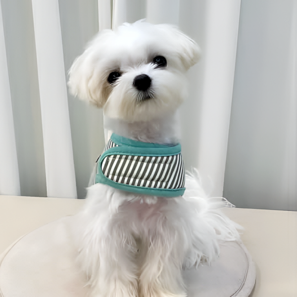 [스윗테일] 핸드메이드 강아지 스트라이프 하네스 M [반려동물]