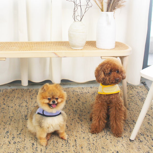 페오펫몰,[스윗테일] 핸드메이드 강아지 스트라이프 하네스 XL [반려동물]