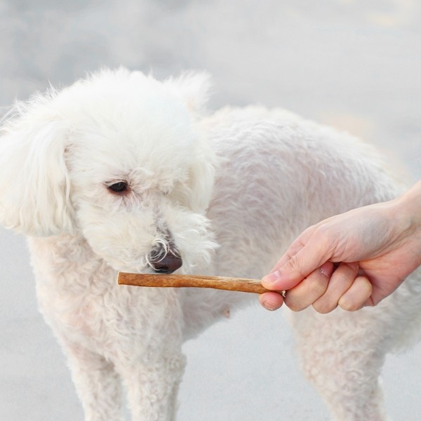 페오펫몰,[오래오래프로젝트] 깨끗한육포 오래먹는 낙타 식도근스틱 60g