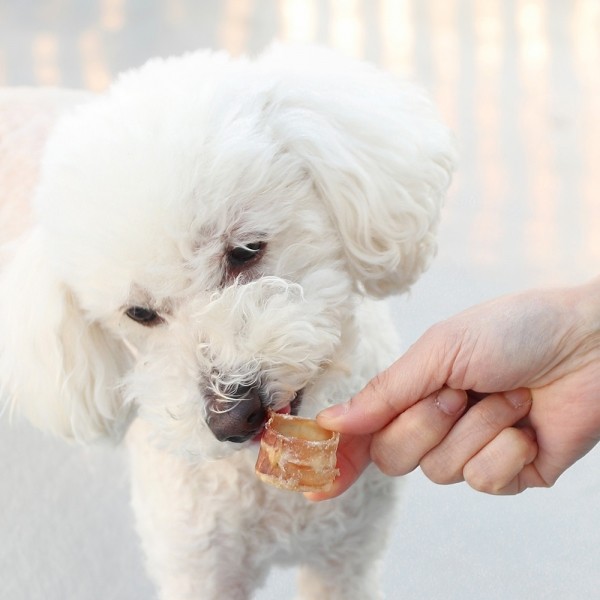 페오펫몰,[오래오래프로젝트] 깨끗한육포 쫄깃 낙타 울대링 60g