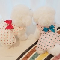 [멤버십 비밀가격][코코아허니] 하이디원피스 [최저가]