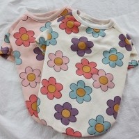 [멤버십 비밀가격][코코아허니] 큐티라이언티셔츠 [최저가]