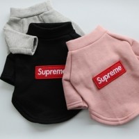 [멤버십 비밀가격][코코아허니] 슈기모폴라티셔츠 [최저가]