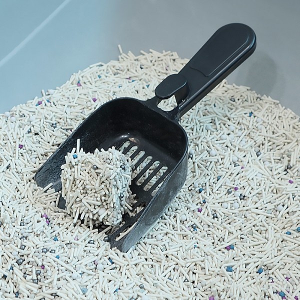 페오펫몰,딩동펫 고양이 수퍼 식스 벤토나이트 두부 모래 2.5kg 1개