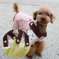 [멤버십 비밀가격][코코아허니] 빼꼼벨크로올인원 [최저가]