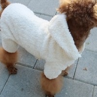 [멤버십 비밀가격][코코아허니] 당근기모후드티 [최저가]