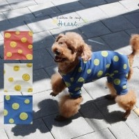 [멤버십 비밀가격][코코아허니] 스마일올인원 [최저가]