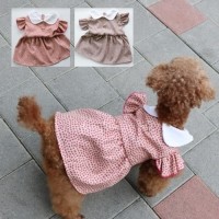 [멤버십 비밀가격][코코아허니] 카라원피스 [최저가]