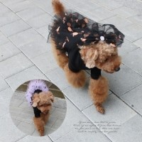 [멤버십 비밀가격][코코아허니] 누비프릴티 [최저가]