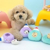 [멤버십 비밀가격][패리스독] 피너츠콤보라텍스롤케이크토이 [1팩단위/4EA](민트2 + 바이올렛2) [최저가]