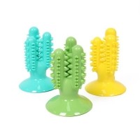 [멤버십 비밀가격][애구애구] 강아지 칫솔 치석제거 치카토이 선인장 셀프칫솔 세척솔 세트 [최저가]