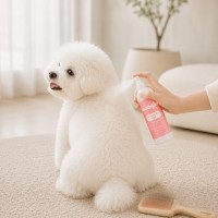 [메이웰] 피모 보습스프레이 몽글 펫미스트 200ml