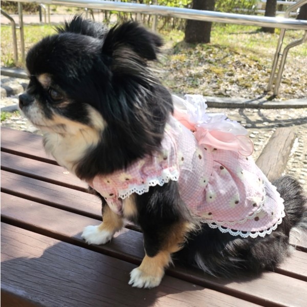 페오펫몰,플로피이얼스[꽃길특가]핑크데이지 엘라스틱 드레스