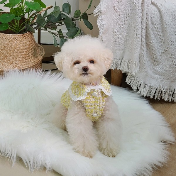 페오펫몰,키덕키덕 | 자체제작 강아지 겨울옷 캔디 트위드 자켓 - 레몬