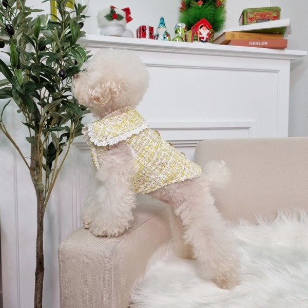 페오펫몰,키덕키덕 | 자체제작 강아지 겨울옷 캔디 트위드 자켓 - 레몬