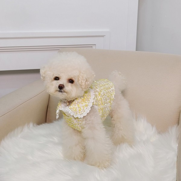 페오펫몰,키덕키덕 | 자체제작 강아지 겨울옷 캔디 트위드 자켓 - 레몬